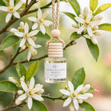 Citrus Blossom Woods car diffuser hanging among orange blossoms
