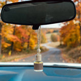 Pistachio Saffron car diffuser hanging in car with fall landscape