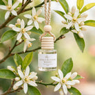 Citrus Blossom Woods car diffuser hanging among orange blossoms