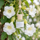 Lavender Moonflower car diffuser hanging among white moonflower blossoms