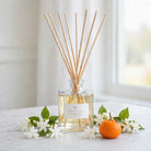 White Tea Jasmine Reed Diffuser