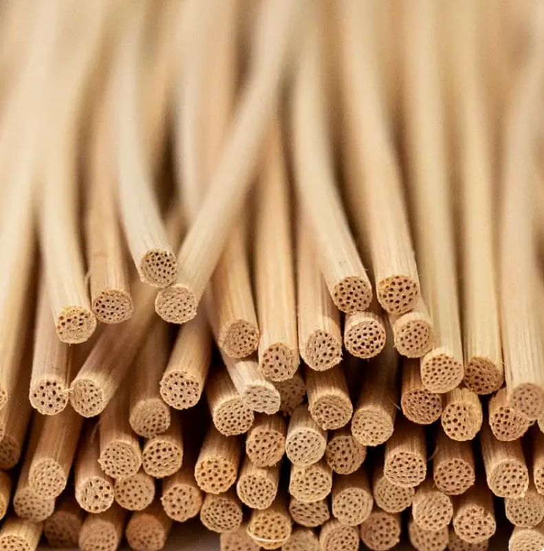Natural rattan reeds — the reeds used in every Sage & Bloom reed diffuser